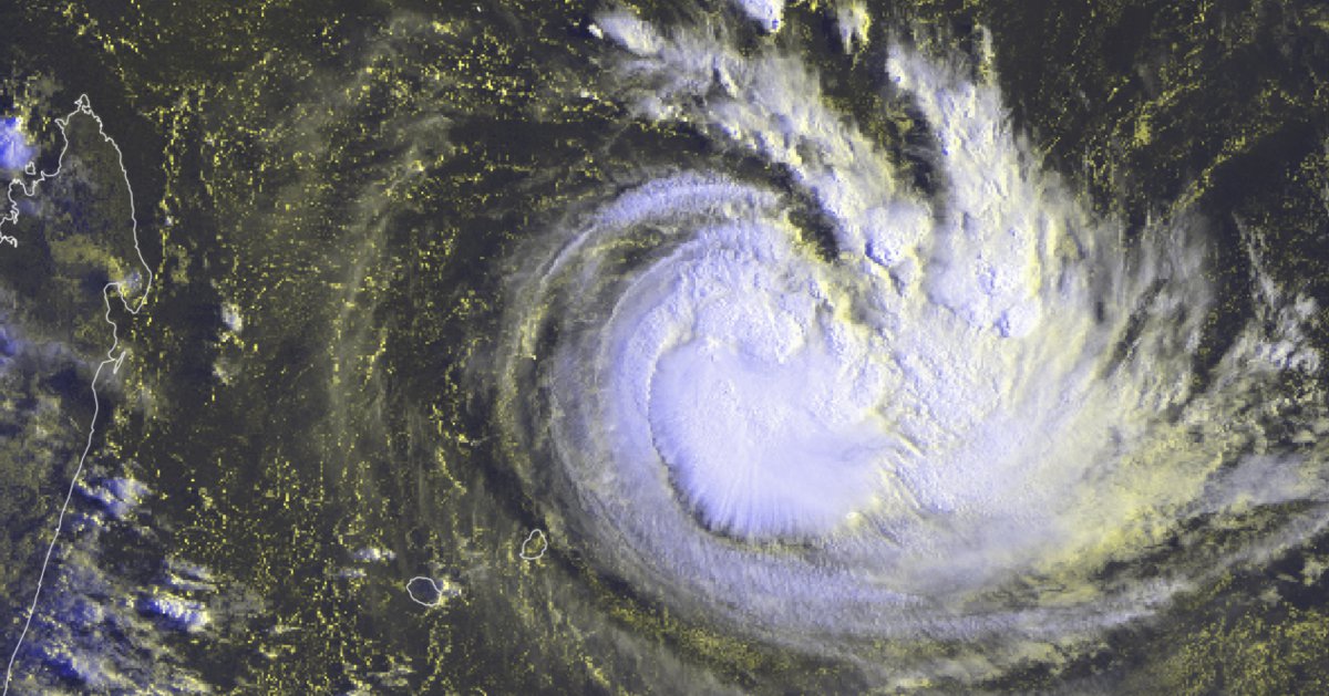 Cyclone joaninha