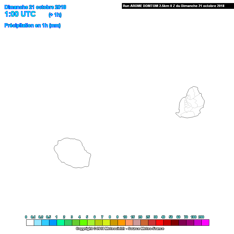 Simulation précipitation modèle AROME de Météo France via Météociel