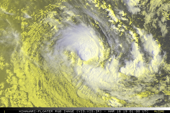 Cyclone Tropical Savannah
