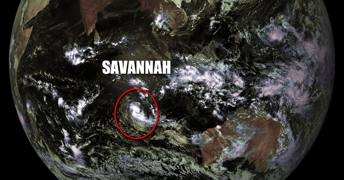 Cyclone Tropical Savannah