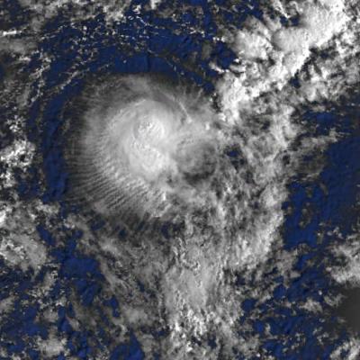 17 jan 81 0204utc