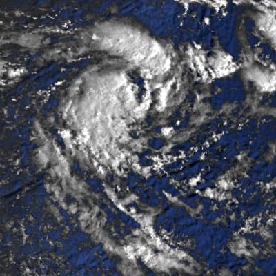29 jan 81 0235utc