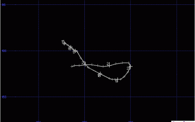 CHRISTIANE TRAJECTOIRE