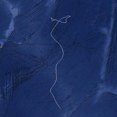 DAODO TRAJECTOIRE