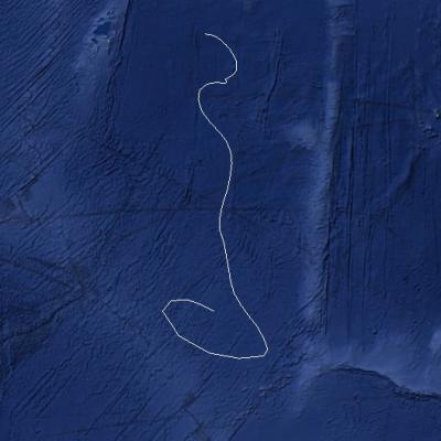 DELFININA TRAJECTOIRE