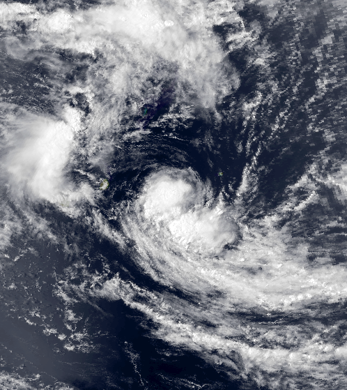 ESTELLE FTT (55kt source IBTrACS)