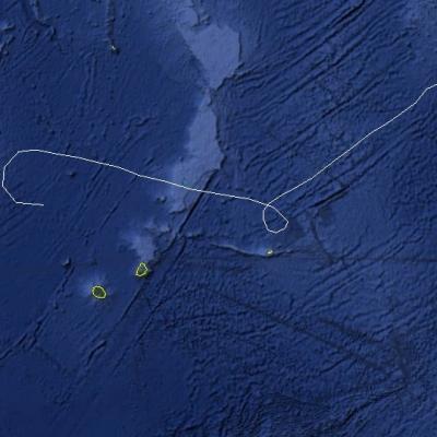 HELISAONINA TRAJECTOIRE