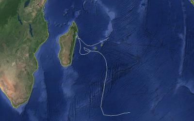 HYACINTHE TRAJECTOIRE