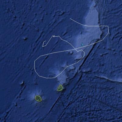 LISA TRAJECTOIRE