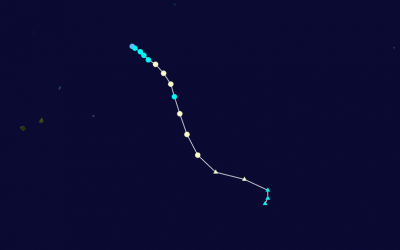 NADINE TRAJECTOIRE