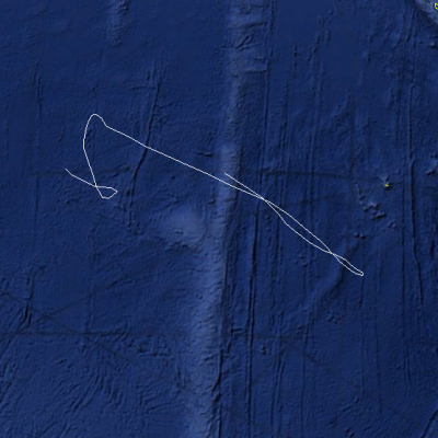NAOMI TRAJECTOIRE