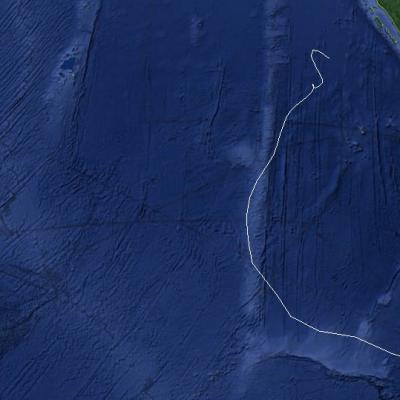 OLGA TRAJECTOIRE