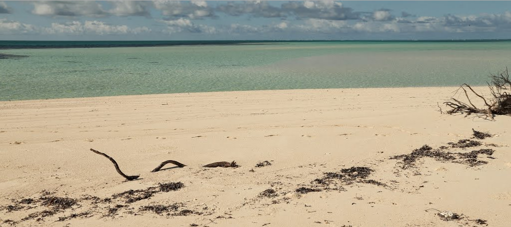 Création d'une nouvelle catégorie