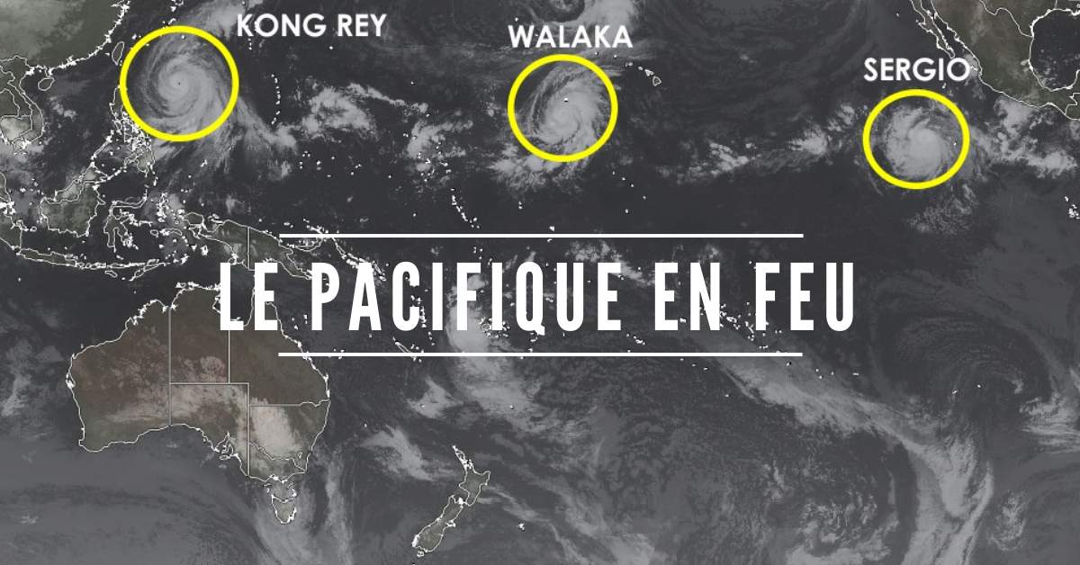 Des cyclones à la queuleuleu dans le pacifique