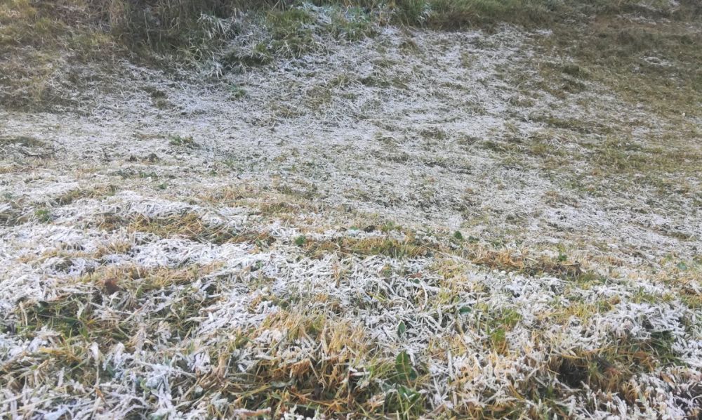 gelées blanches la Réunion