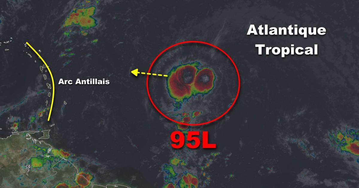 95l petite antillais