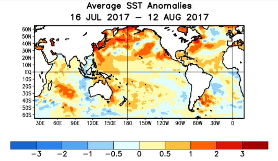 Anomalie SST du 16 07 2017 au 12 08 2017 (NOAA)