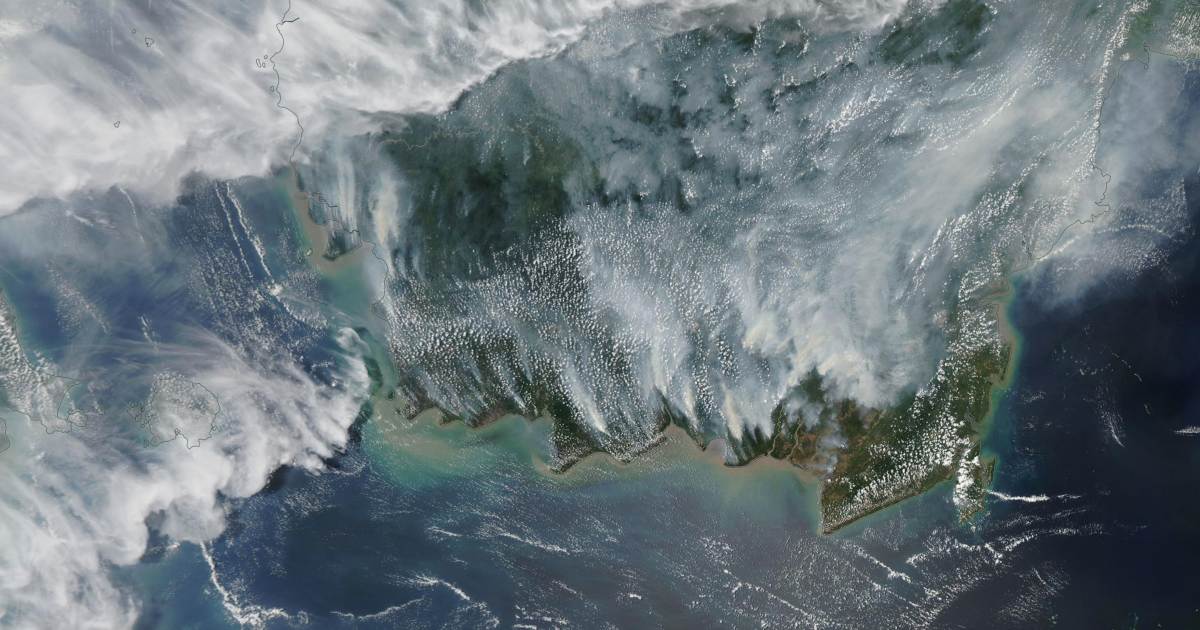 Borneo smog incendie