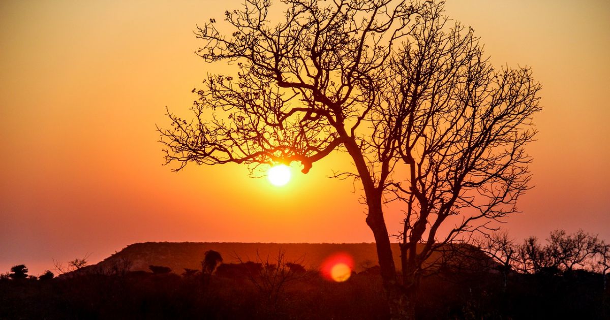 Canicule madagascar