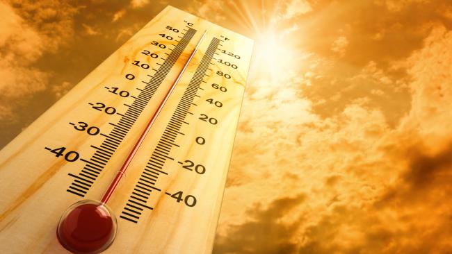 2017 parmi les trois années les plus chaudes jamais observées
