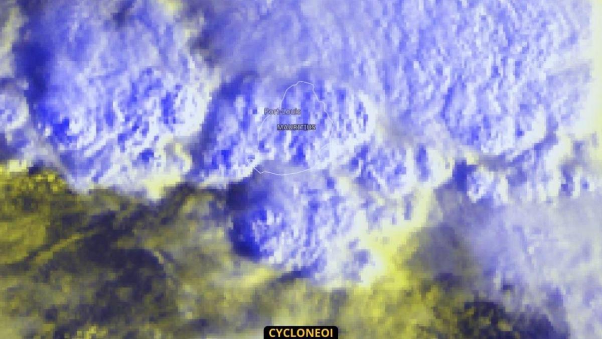 Cyclone cheneso 2 