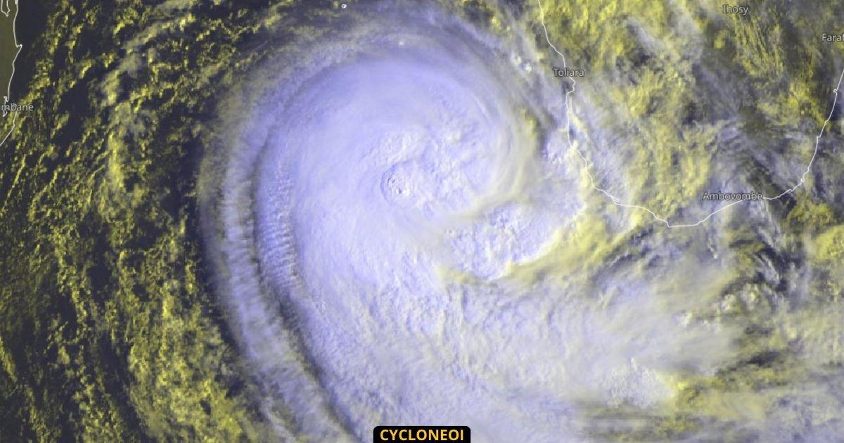 Cyclone cheneso 4 