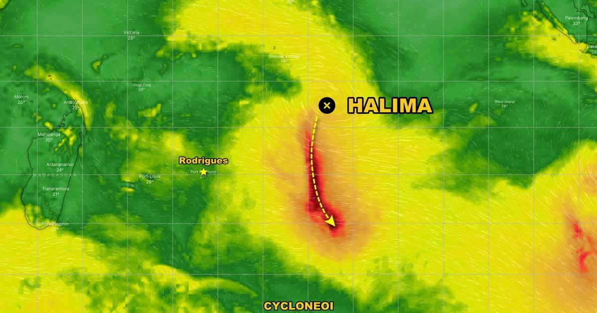 Cyclone halima 1
