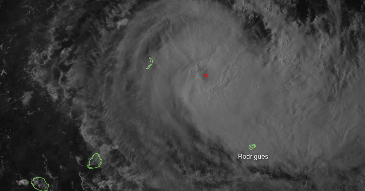 Cyclone joaninha