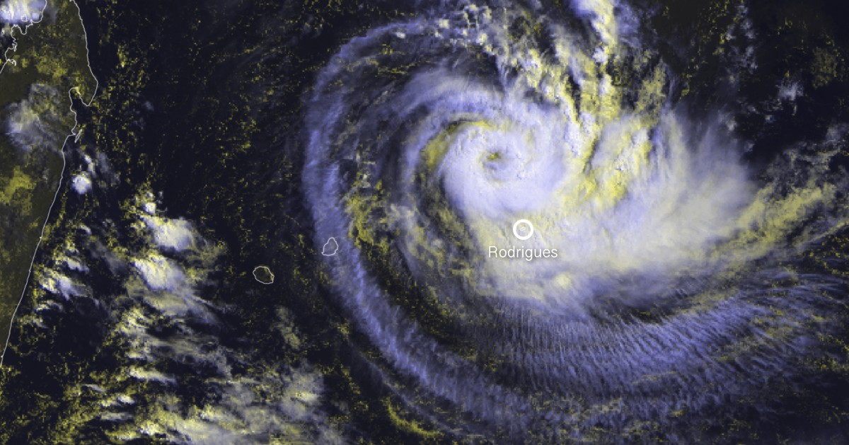 Cyclone joaninha