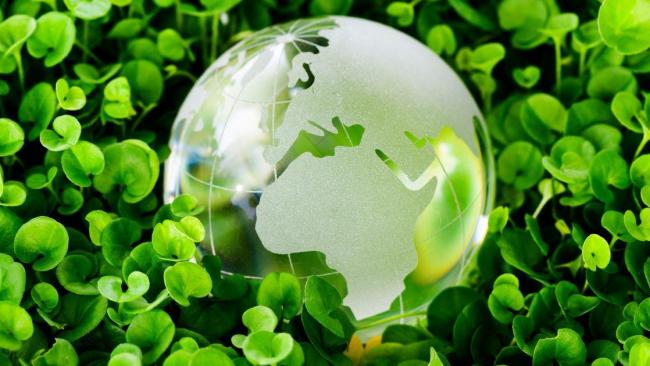 Environnement & Écologie