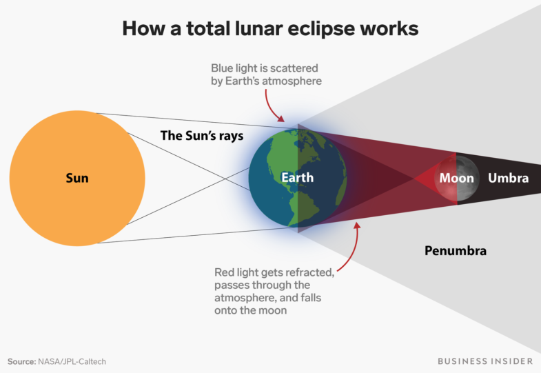 Principe de l'éclipse lunaire ©businessinsider.fr