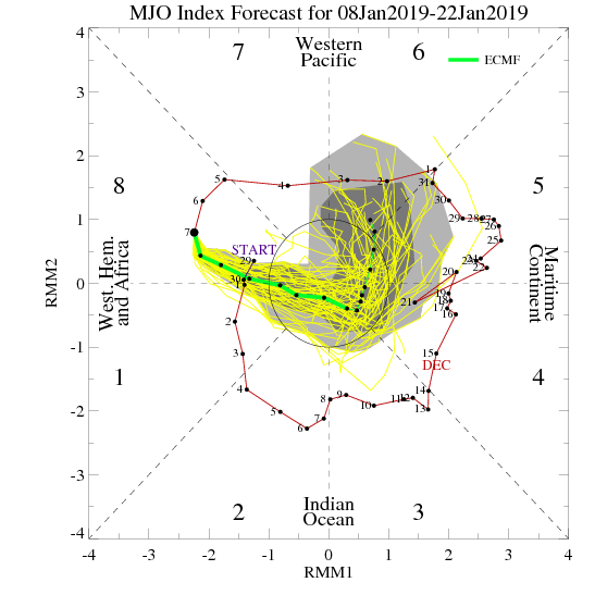 Prévision MJO ecmwf