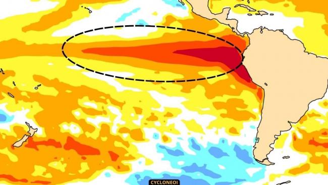 El Nino en vue, l'OMM demande de se préparer à ses potentielles conséquences