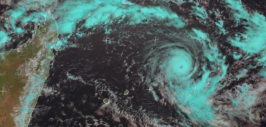 BERGUITTA : Menace potentielle pour Maurice et la Réunion