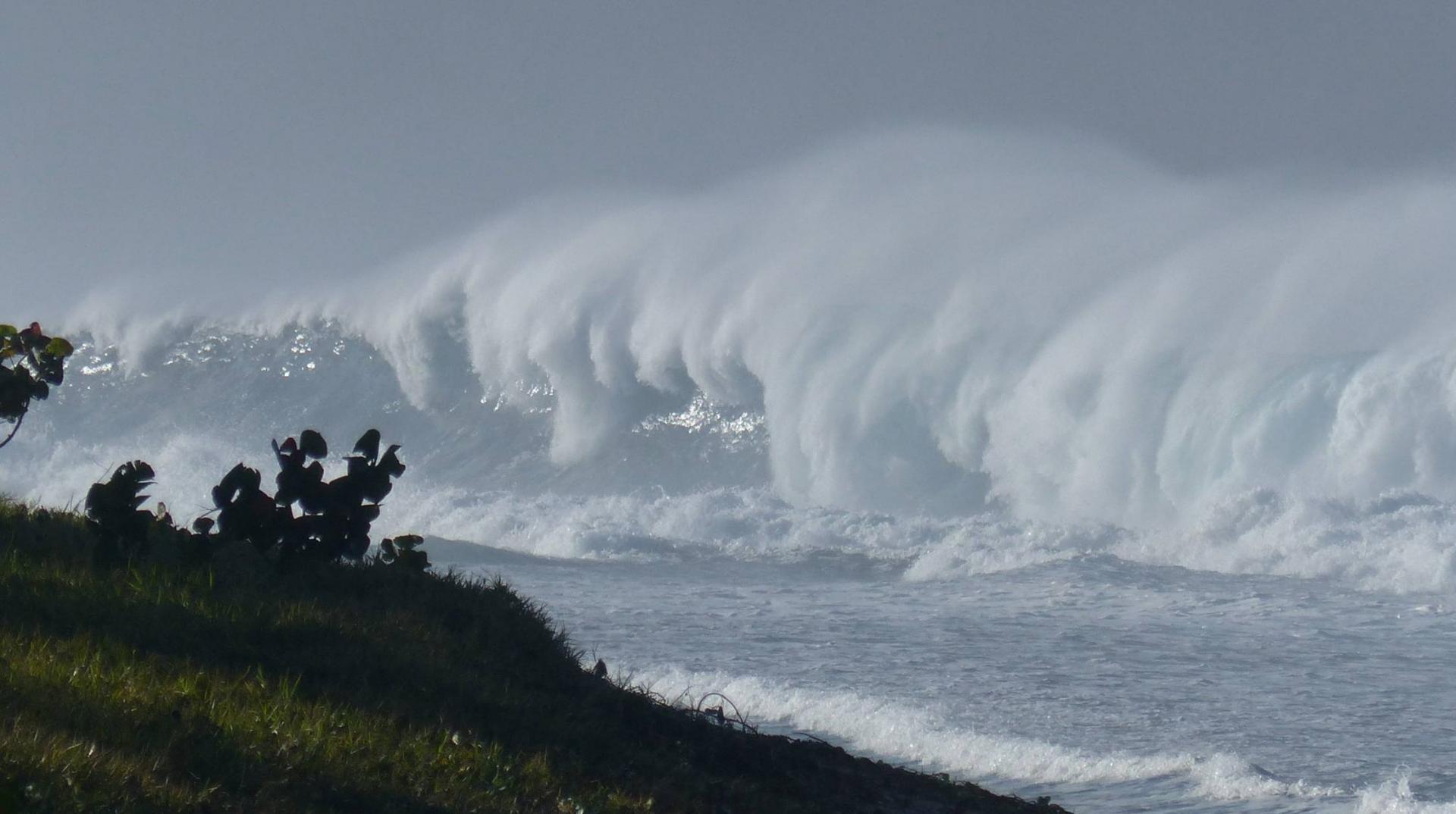 Houle australe la reunion