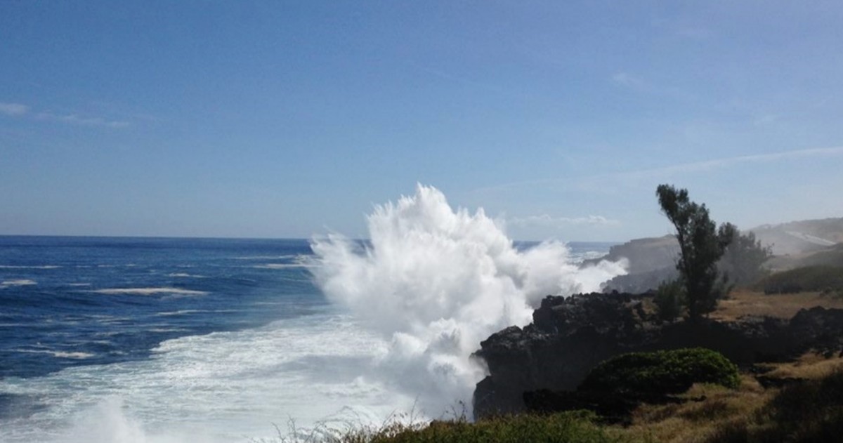 Houle australe la reunion