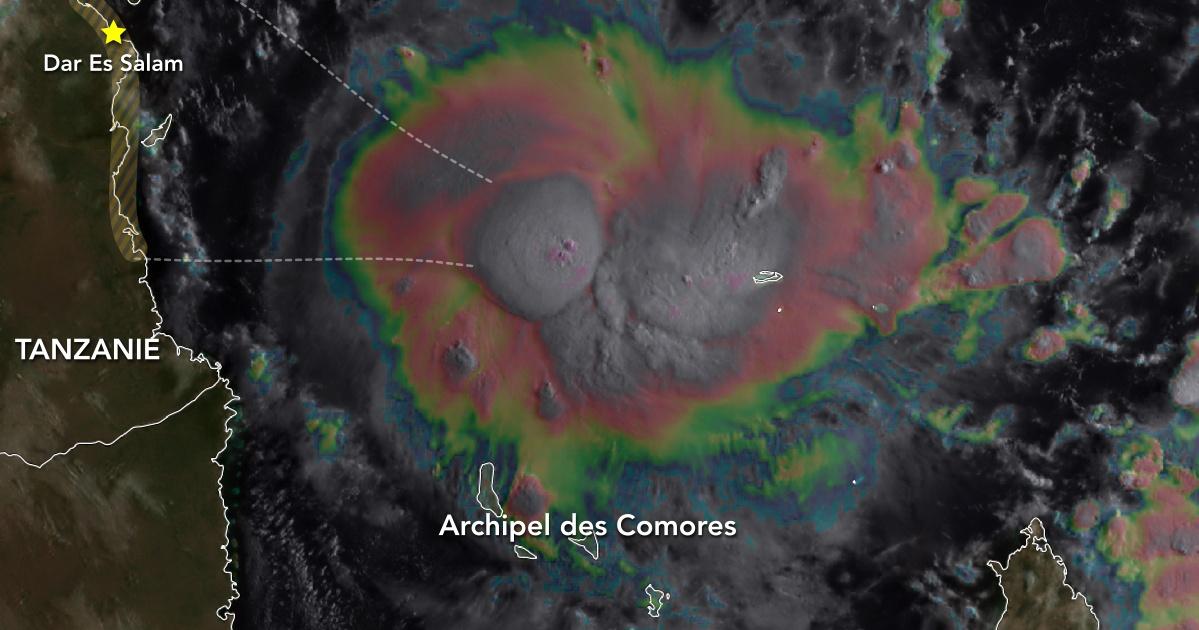 Jobo nord comores 1