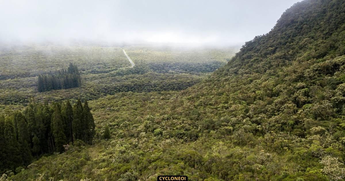 Météo à La Réunion : Près de 100mm en 24h au Baril