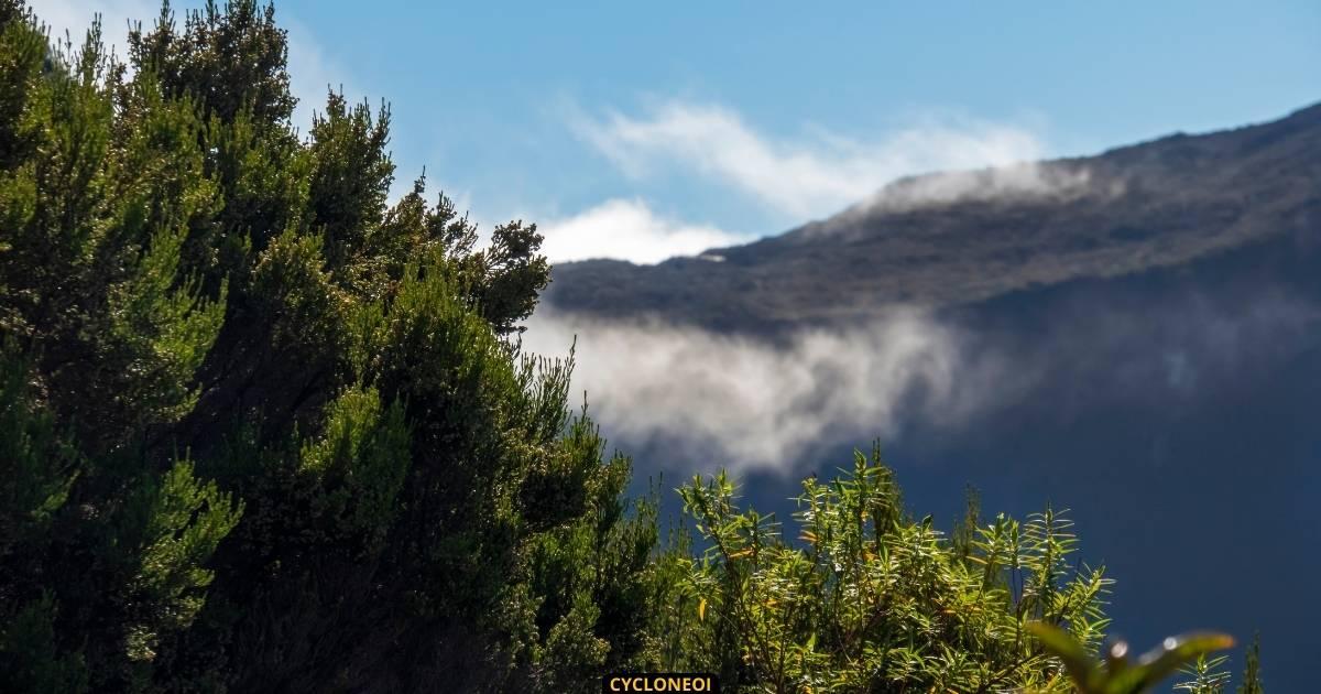 Meteo a la reunion quel temps fait il