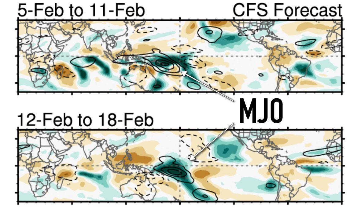 Mjo