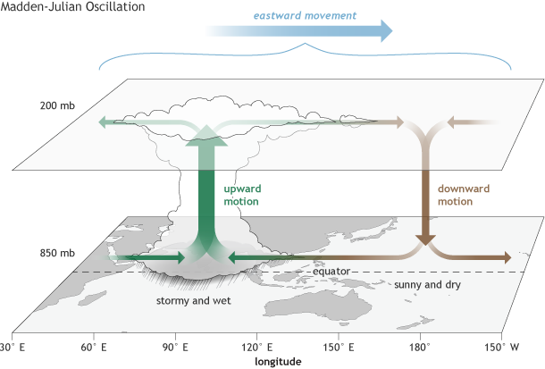 Fonctionnement de l'oscillation de Madden-Julian (NOAA)