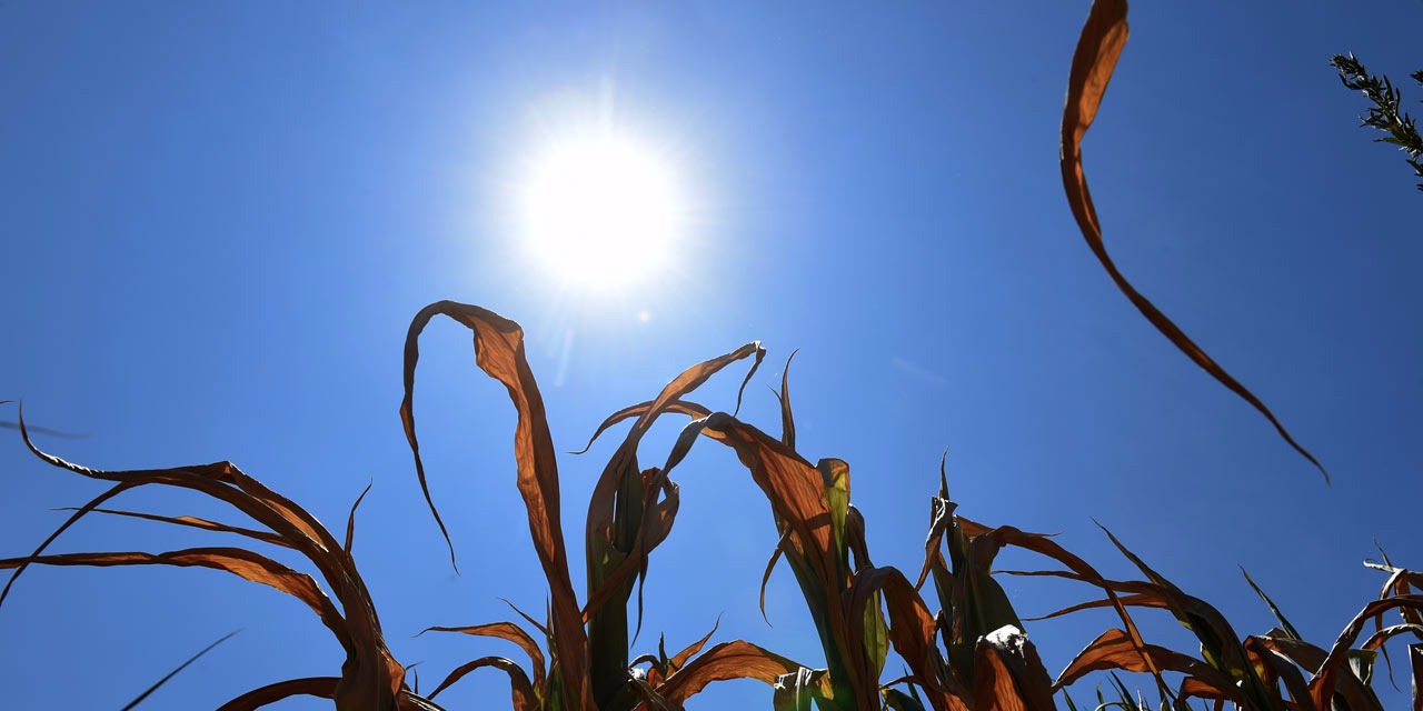 Mois de mars le plus chaud depuis 50 ans à la Réunion