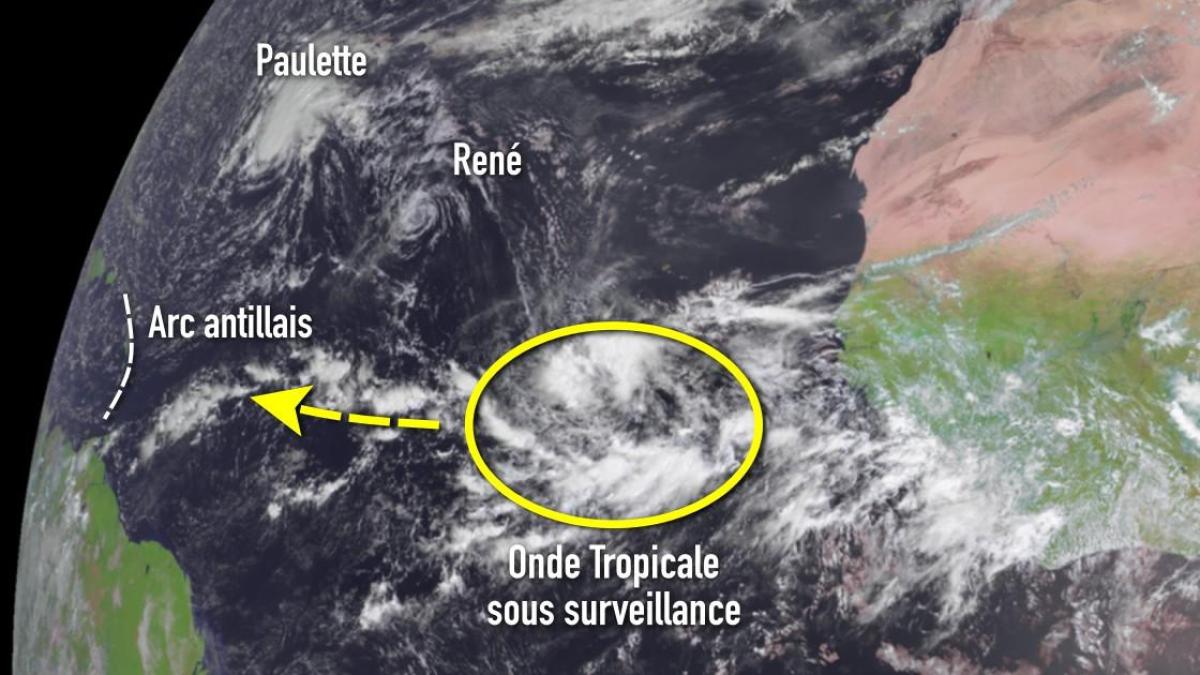Risque de cyclogenèse élevé à l'Est de l'arc antillais ces prochains jours