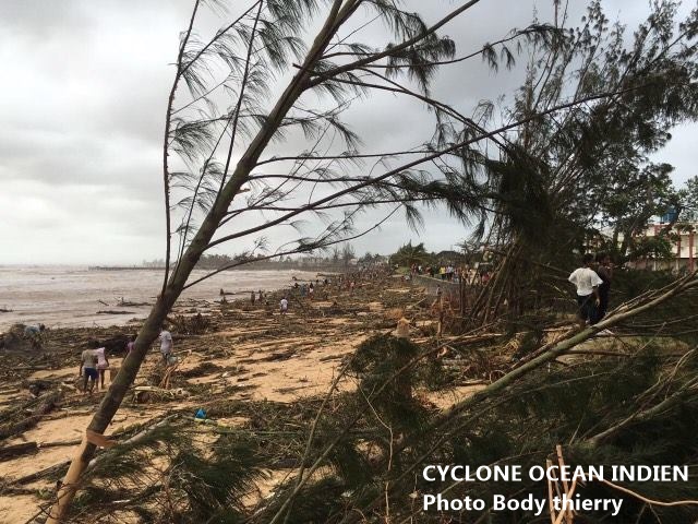 Plage jonchee de debris