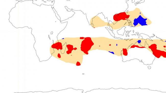 Tendances climatiques et cycloniques du mois d'Octobre pour l'océan indien Sud