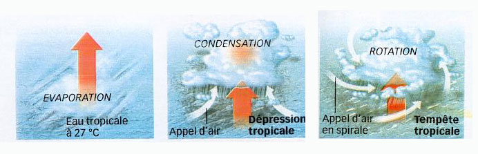 Processus formation cyclonique