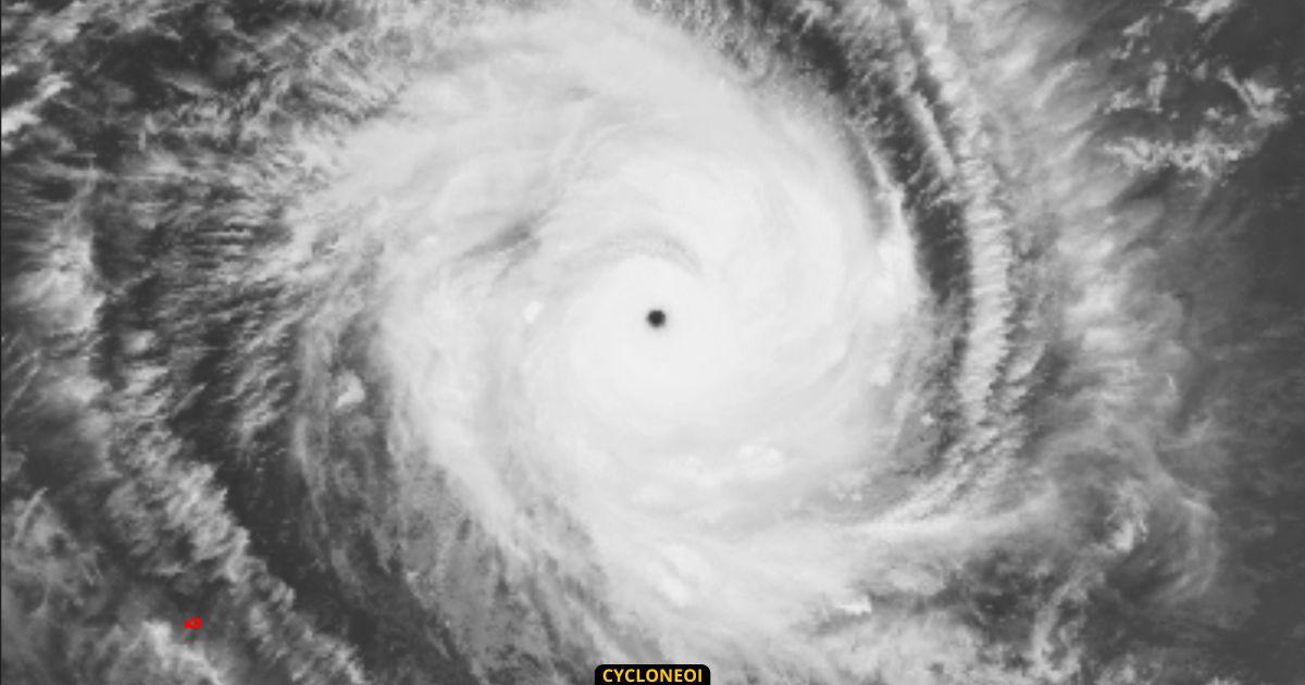 Re tro cyclone cti marlene saison 199495