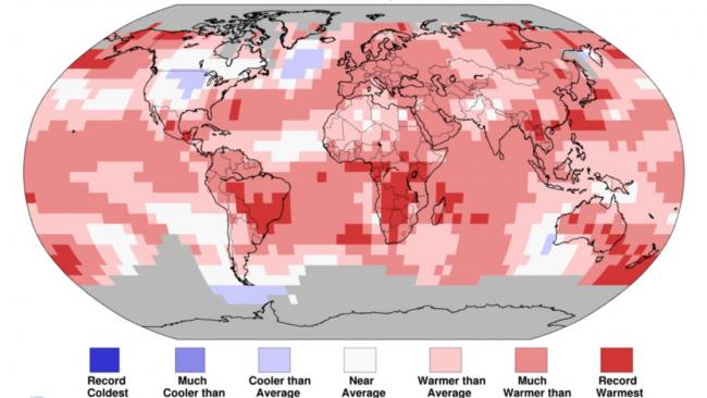 Juin 2019, mois de juin le plus chaud jamais enregistré au niveau mondial