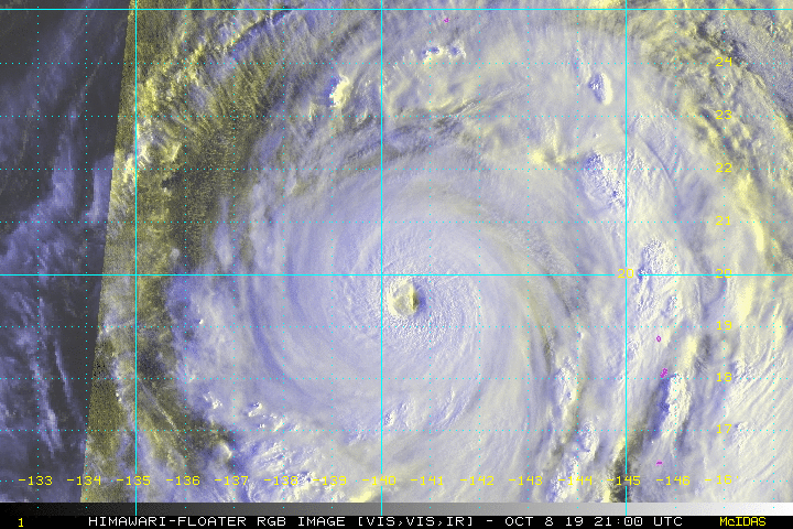 super typhoon hagibis loop