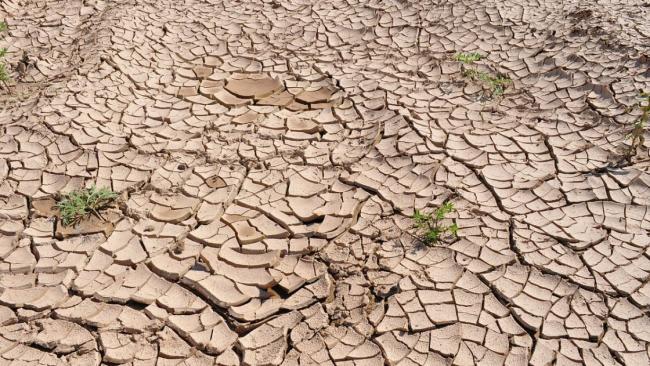 La Réunion : La période Janvier à Mai 2019 la plus sèche depuis 48 ans